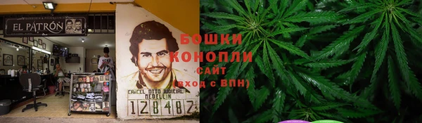 spice Билибино