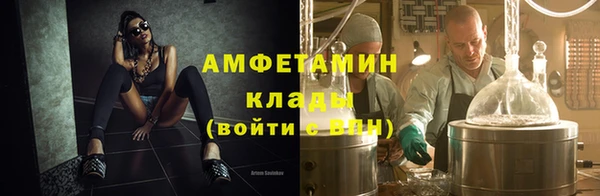 гидра Нестеровская