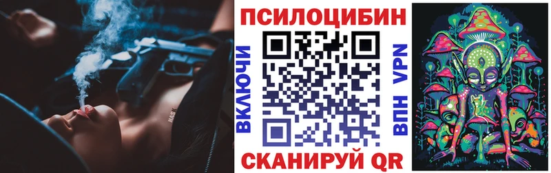 Галлюциногенные грибы Psilocybe  kraken ССЫЛКА  Пионерский  как найти закладки 
